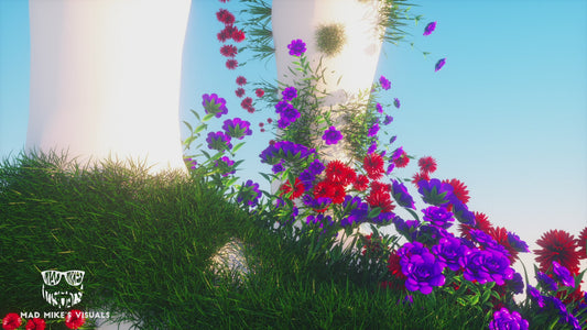 NATURE'S KISS - Loop Pack